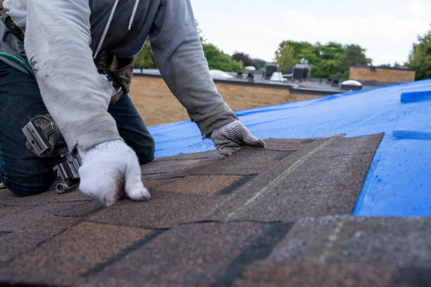 Quick and Trustworthy Emergency Roof Repair Services in Arnold, MD